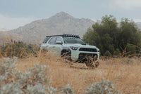 DV8 25-26 Toyota 4Runner Exterior Window Molles (Use w/ PN dveRRTF3-02) - Passenger