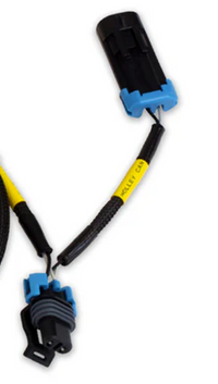AEM CD-7/CD-7L Plug and Play Adapter Harness for Holley EFI