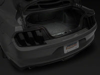 Raxiom15-23 Ford Mustang Axial Series Stage 2 Interior LED Lighting Kit- Cool White