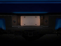 Raxiom 97-14 Ford F-150 Axial Series License Plate Lamp Housings
