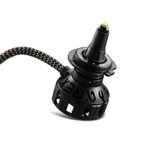 AlphaRex Black Ammo Panoramic LED Light Bulbs - H11