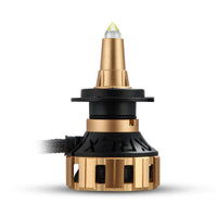 AlphaRex Gold Ammo Panoramic LED Light Bulbs - H11