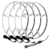 Oracle LED Illuminated Wheel Rings - Aqua