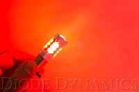 1157 LED Bulb XP80 LED Amber Single Diode Dynamics