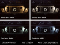 194 LED Bulb HP5 LED Warm White Set of 12 Diode Dynamics