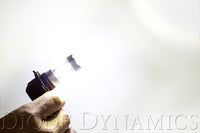 9005 XP80 LED Cool White Pair Diode Dynamics