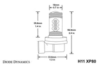 H11 XP80 LED Cool White Set of 4 Diode Dynamics