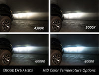 HID Bulb D2R 8000K Pair Diode Dynamics