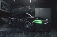 2015-2018 Dodge Charger RGBW DRL LED Boards Diode Dynamics