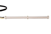 LED Strip Lights High Density SF Red 12 Inch Diode Dynamics